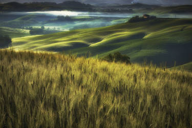 Dawn over the Val d'Orcia