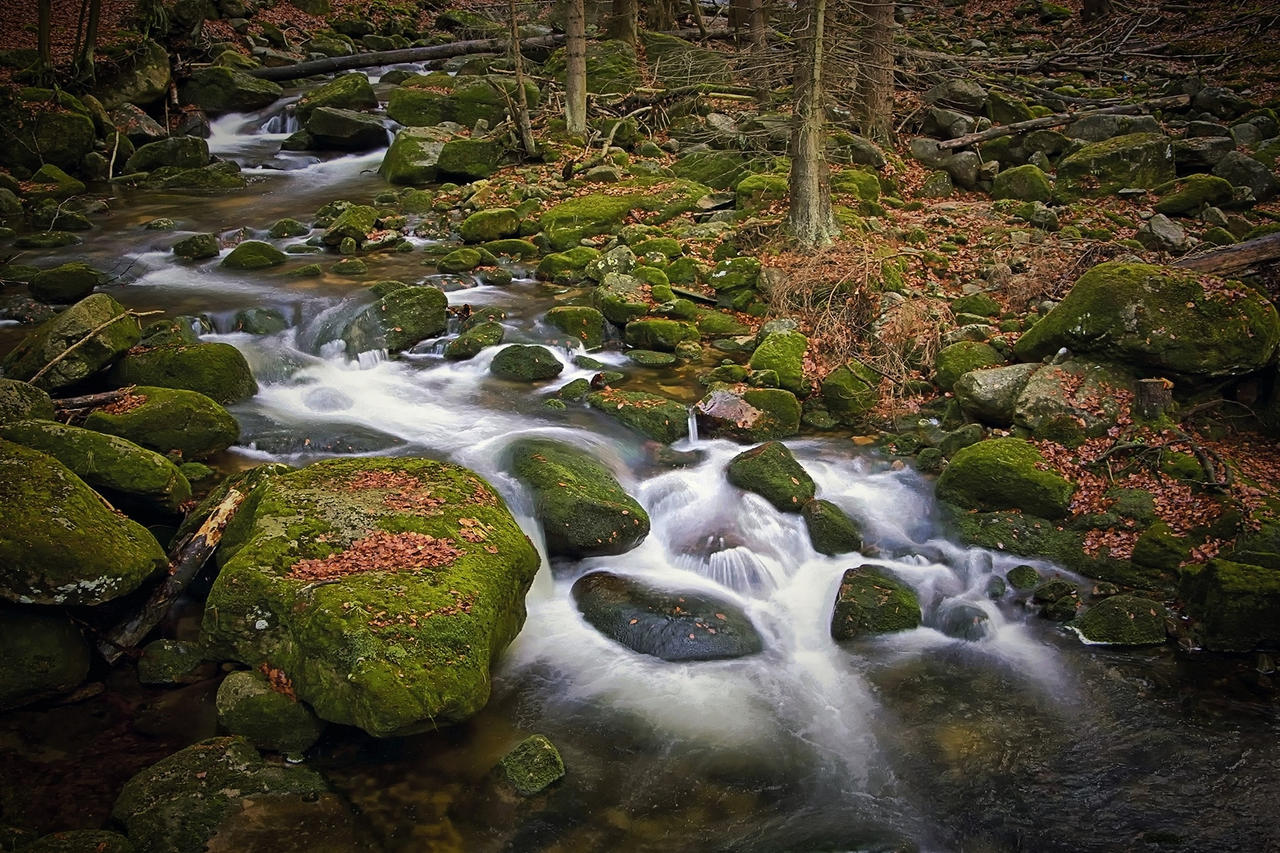 Stone River