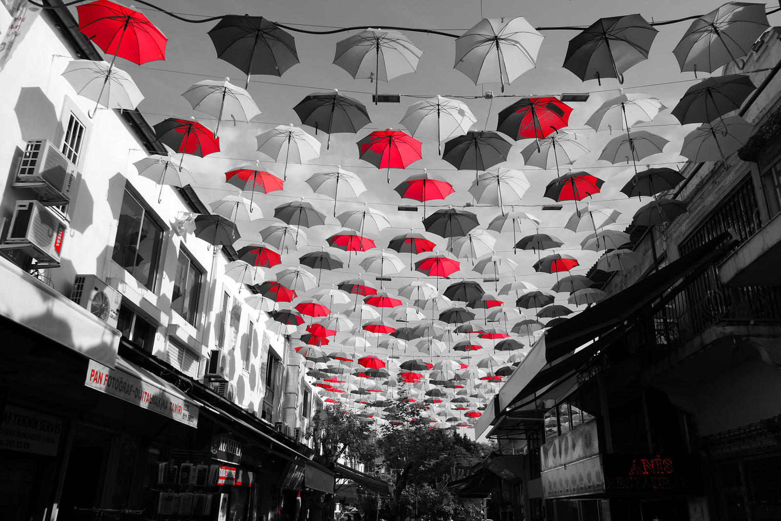 Flying  Umbrellas