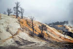 Mammoth Hot Springs in the mist 2 by CitizenFresh