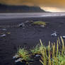 Beautiful Iceland 19 -black beach /outflow/