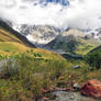 On the way to the Shkhara glacier 11