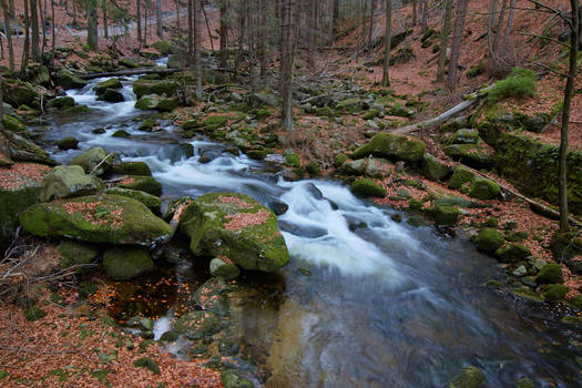 Autumn stream