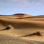 Morocco- Sahara desert 2