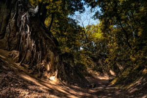 Artistry of nature 11