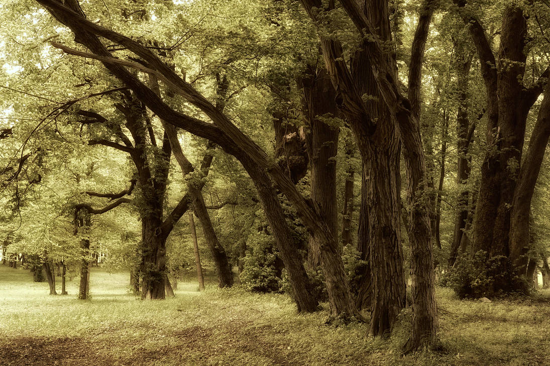 Artistry of nature 13 by CitizenFresh on DeviantArt