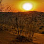 Sunset over the Kyzylkum Desert -Uzbekistan