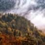 Slovenian autumn