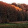 Autumn artistry 2