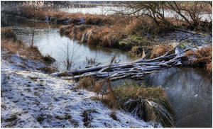 Last breath of winter 2