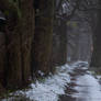 Old alley in the fog