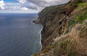 Cliffs of Madeira 9