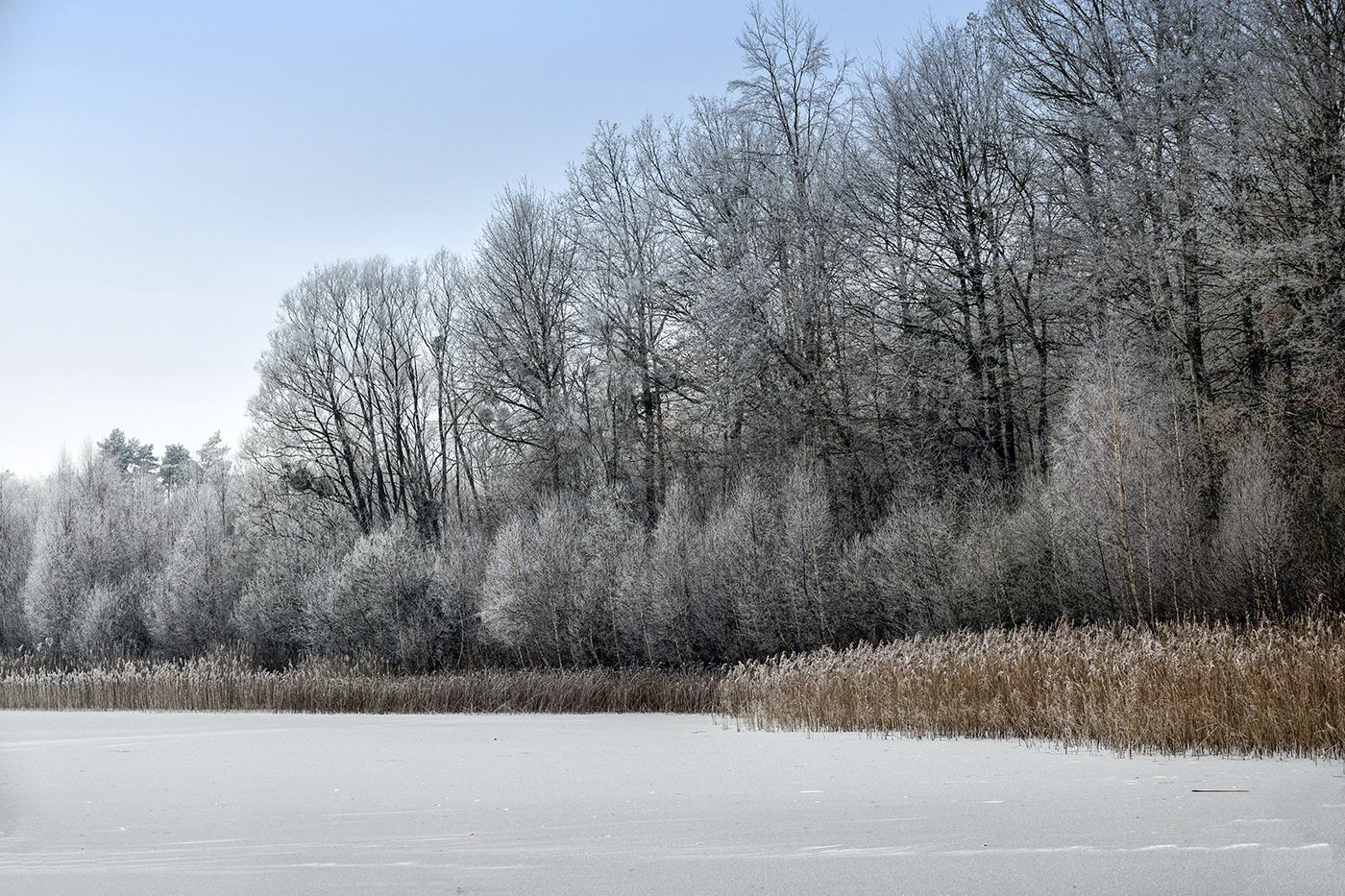 Winter impression 5