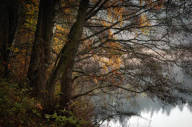The beauty of nature