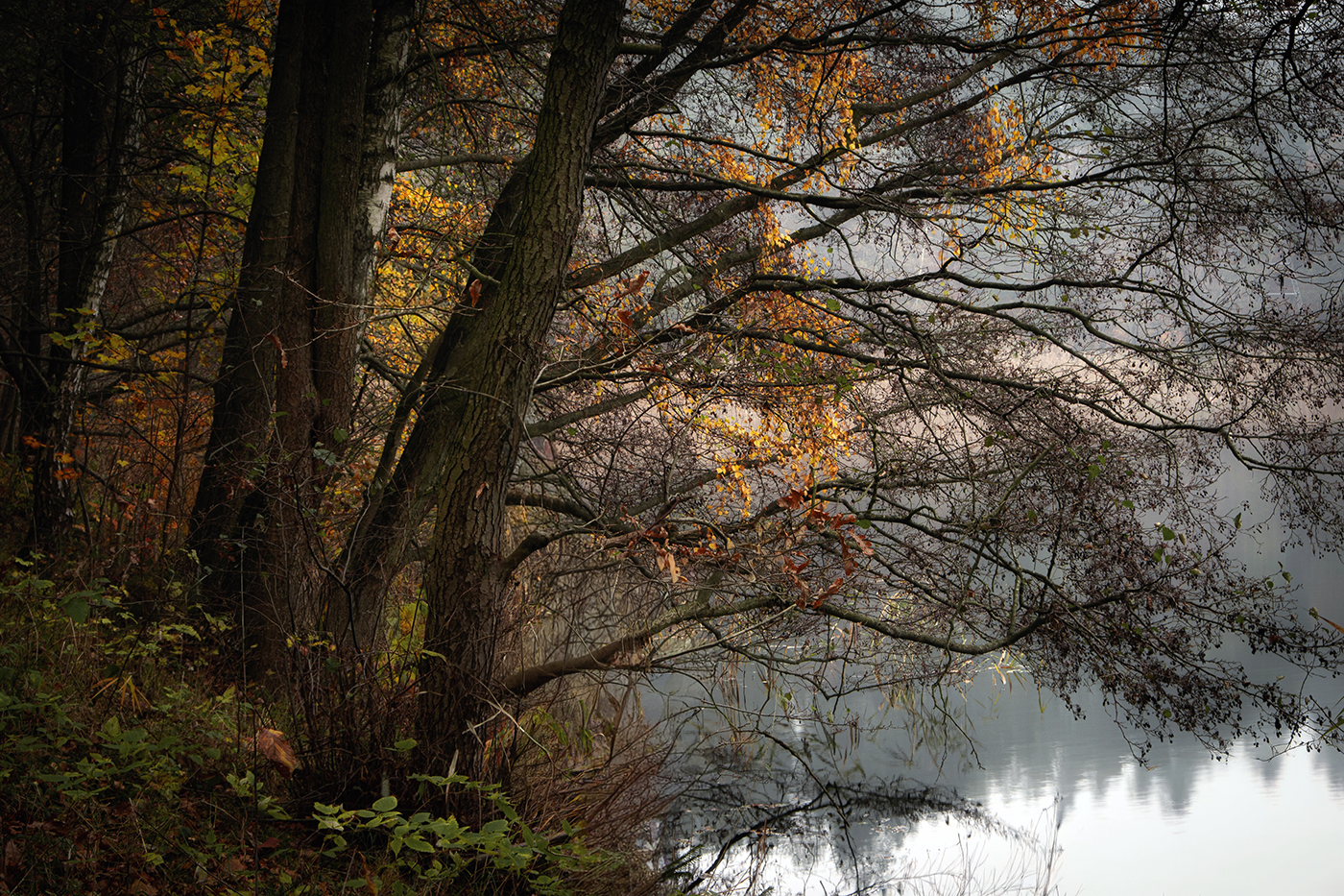 The beauty of nature