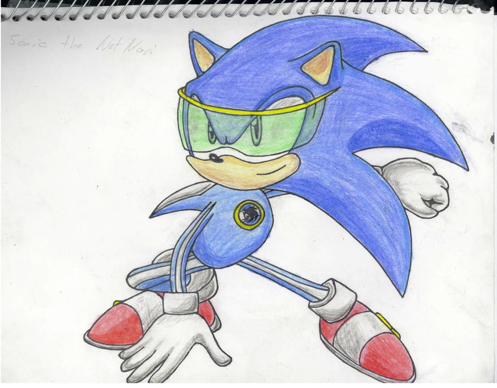 Sonic the Netnavi by SonicCrazyGal on DeviantArt