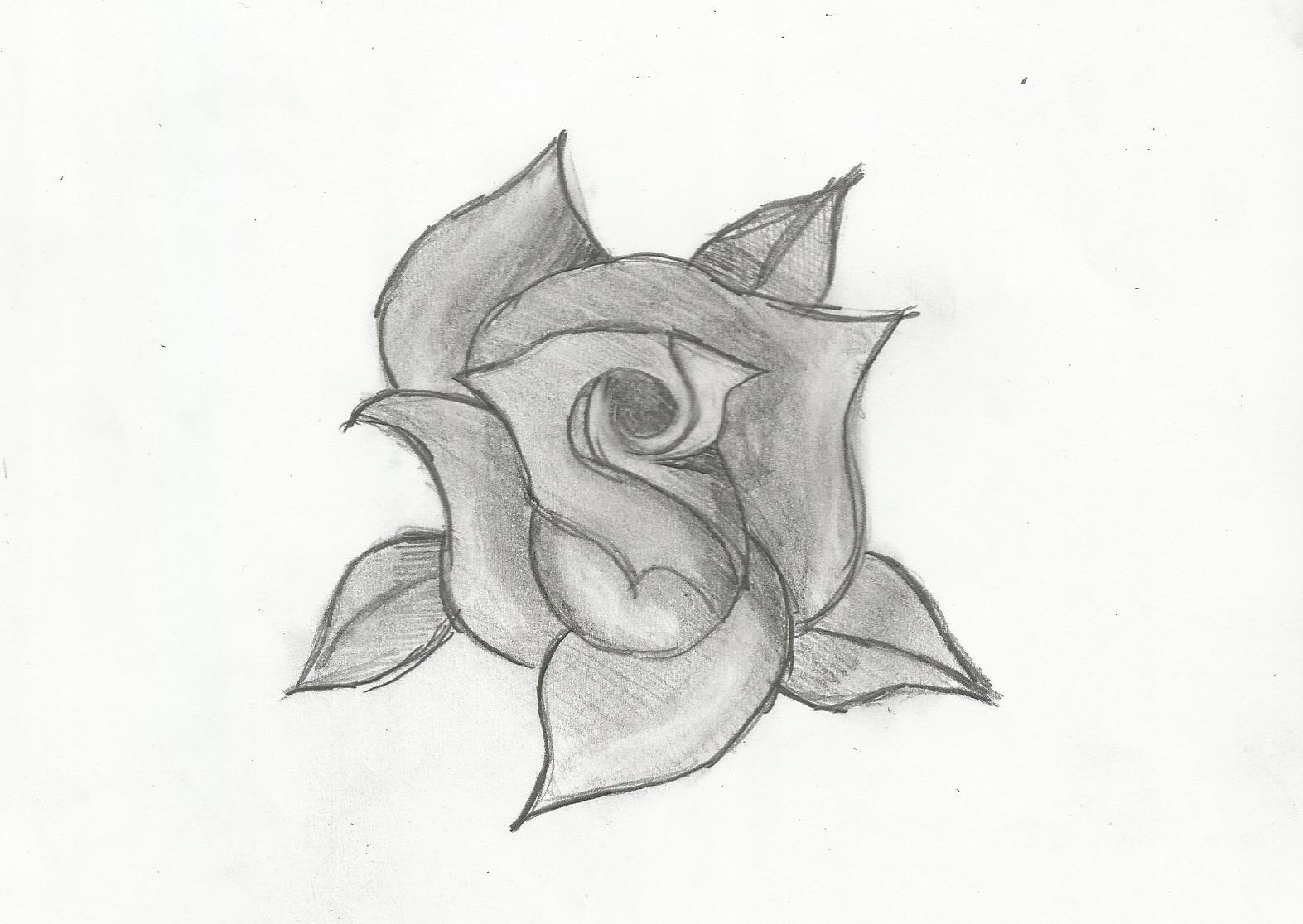 Black And White Rose