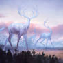 Elder Ones