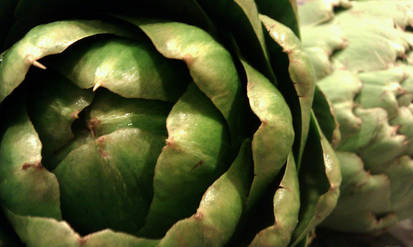 artichoke