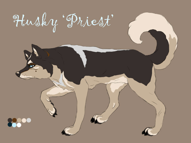 Husky 'Priest'