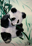 Panda! by Reborn-In-Color