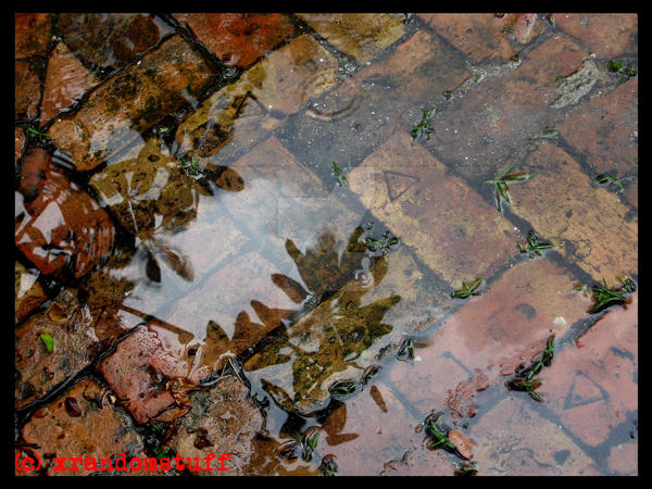 Brick Puddle by xrandomstuff on DeviantArt