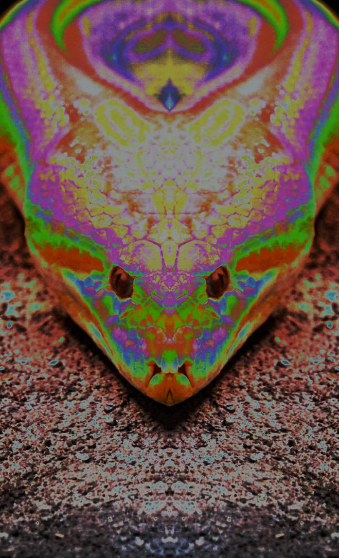 Psychedelic Python's Psychedelic snake by delha4 on DeviantArt
