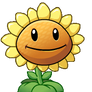 Sunflower Animated