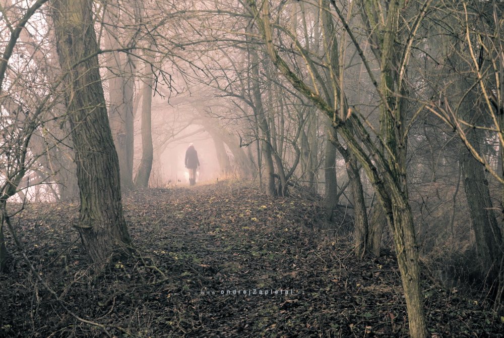 The one in front of me, walking to a mist