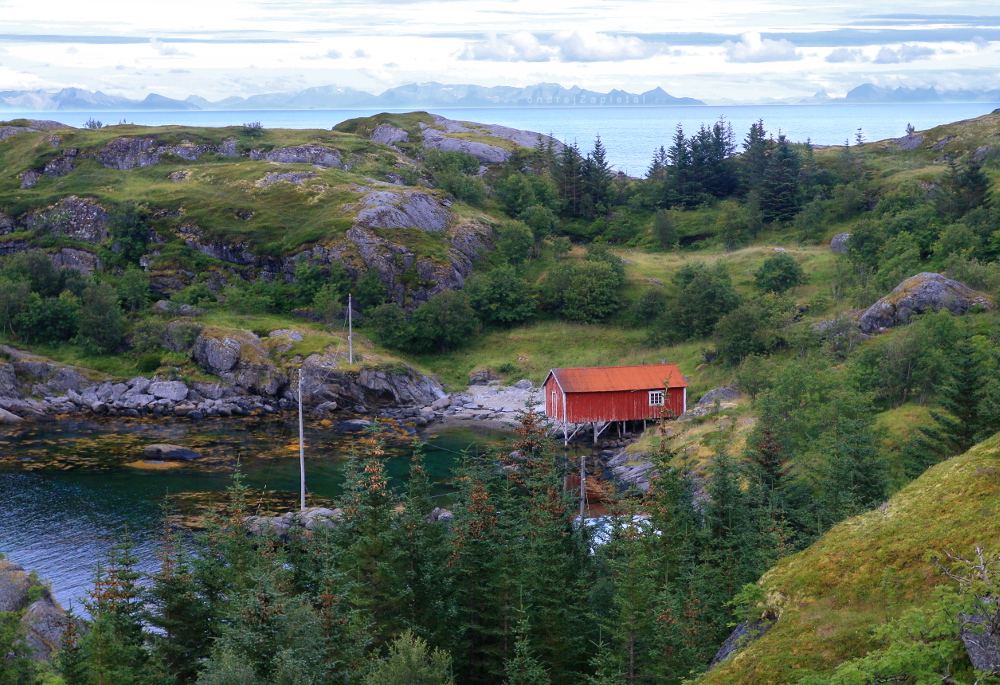 Little Red Barn