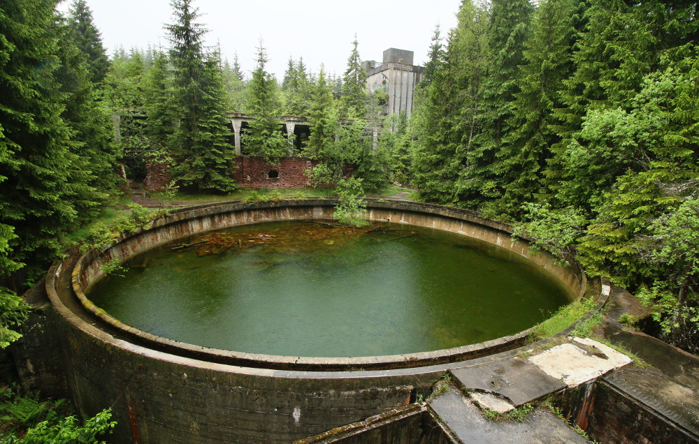 Circle Pool