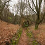 Ruins of an Old Mill