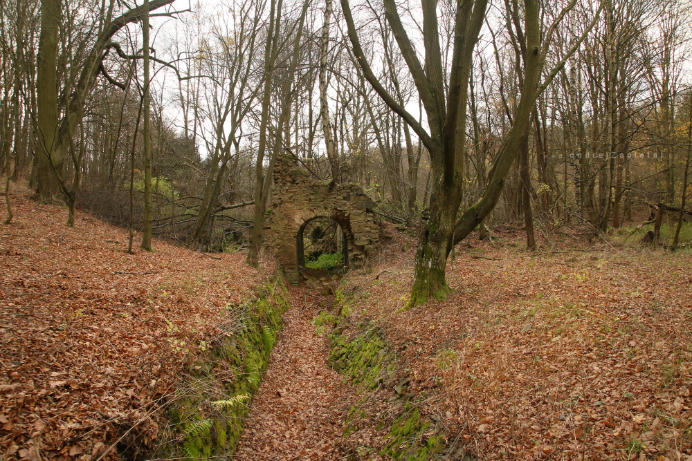 Ruins of an Old Mill