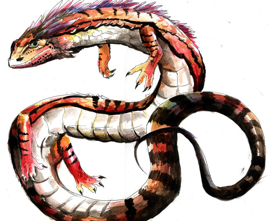 Lizard by EagleRedbeak on DeviantArt