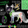 fursona ref sheet