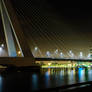 Erasmus Bridge