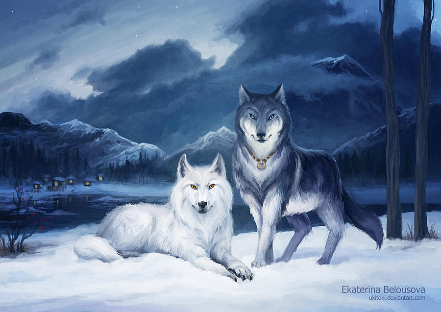 Two wolves by Ukitoki on DeviantArt
