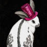 Bunny Breeds: Old English ACEO