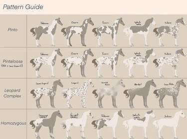 Deviantart Pattern Chart Explore the Best Patternguide Art | DeviantArt