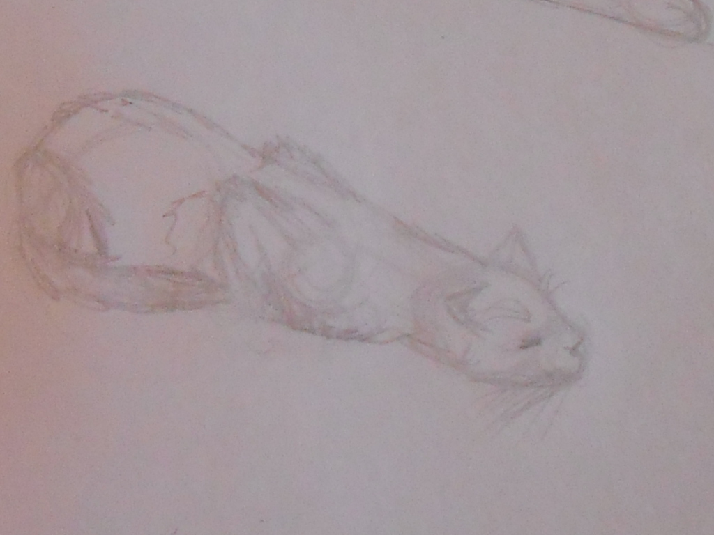 Kitty sketch