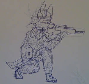 Military dog