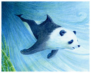 Pandorca