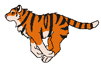 Tiger Run by Tienala on DeviantArt Tiger Run by Tienala on DeviantArt