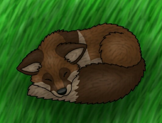 Sleepy Foxy