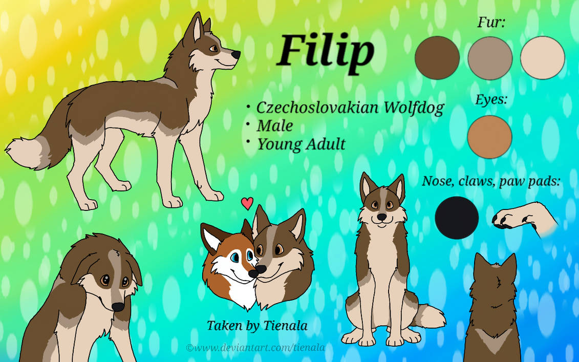 Filip the Wolfdog
