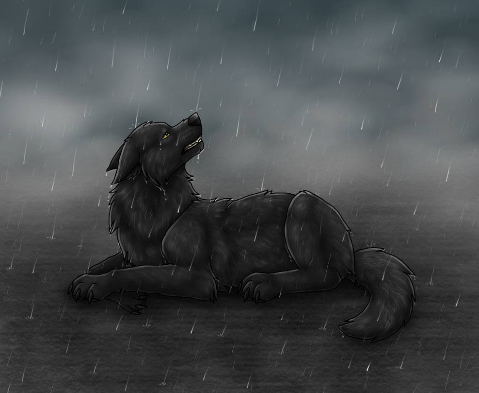 Words Left Unspoken By Tienala On Deviantart Words Left Unspoken By Tienala On Deviantart
