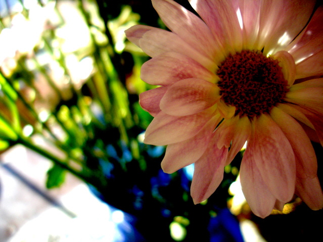 Mothers Hospital Flowers