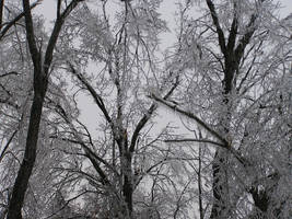 Ice storm