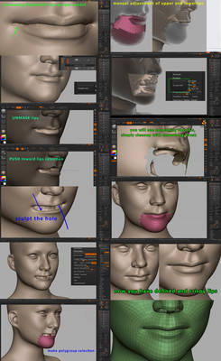 Processing dynamesh into proper flow