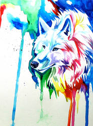 Rainbow Wolf 3